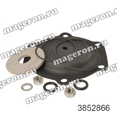Комплект сервисный клапана 2", 38052866; Ingersoll Rand фото в интернет-магазине Brestor