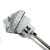 Датчик температуры  PT100, B52452003, BDD-H/HL/Z; Brestor фото в интернет-магазине Brestor