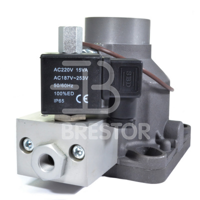 Клапан входной B12048126, BRS/V 18.5-30 кВт; Brestor фото в интернет-магазине Brestor