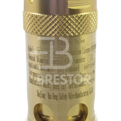 Клапан предохранительный B12048007, BRS-185-220 кВт; Brestor фото в интернет-магазине Brestor