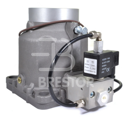 Клапан входной B12048132, BRS/V 200-250 кВт; Brestor фото в интернет-магазине Brestor