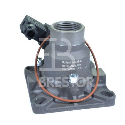 Клапан входной B12048123, BRS/V 7,5 кВт; Brestor фото в интернет-магазине Brestor