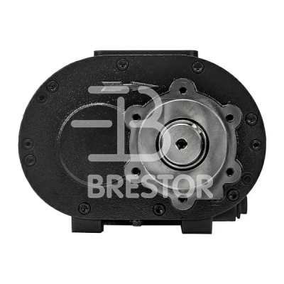 Винтовой блок B22042001, BRM-45 кВт; Brestor фото в интернет-магазине Brestor