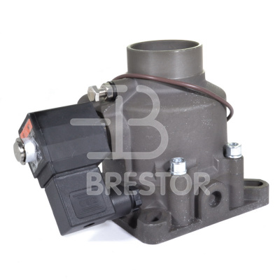 Клапан входной B12048124, BRS/V 11 кВт; Brestor фото в интернет-магазине Brestor