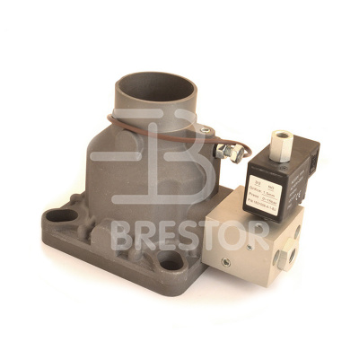 Клапан входной B12048126, BRS/V 18.5-30 кВт; Brestor фото в интернет-магазине Brestor