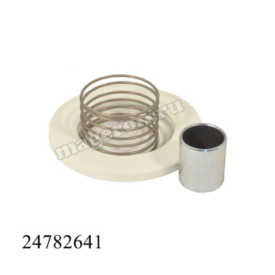 Комплект обратного клапана 2” (тарельчатый клапан), 24782641; Ingersoll Rand фото в интернет-магазине Brestor