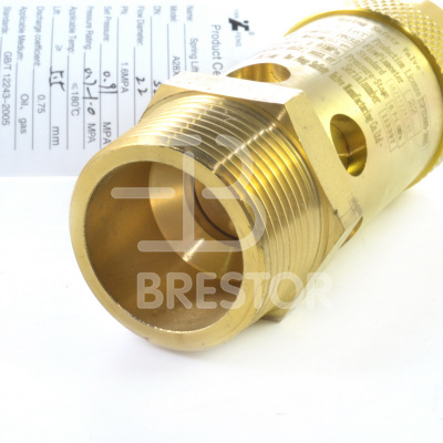 Клапан предохранительный B12048144, BRS/V/M/VD 8бар; Brestor фото в интернет-магазине Brestor