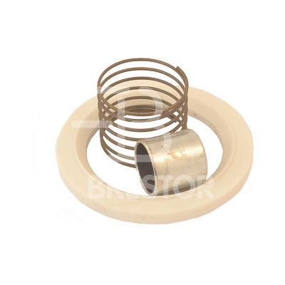 Ремкомплект обратного клапана 3", 24782658; Ingersoll Rand фото в интернет-магазине Brestor