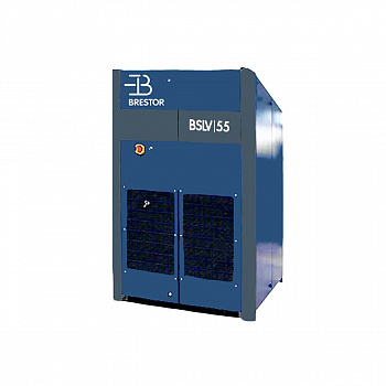 BSLV55