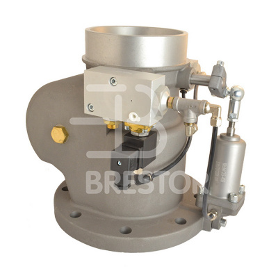 Клапан входной B12048004, BRS/V 110-132 кВт; Brestor фото в интернет-магазине Brestor
