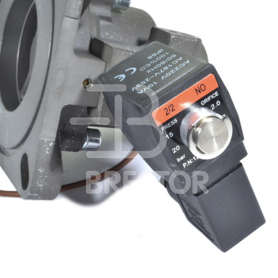Клапан входной B12048123, BRS/V 7,5 кВт; Brestor фото в интернет-магазине Brestor
