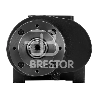 Винтовой блок B12042002, BRS/V 11 кВт; Brestor фото в интернет-магазине Brestor